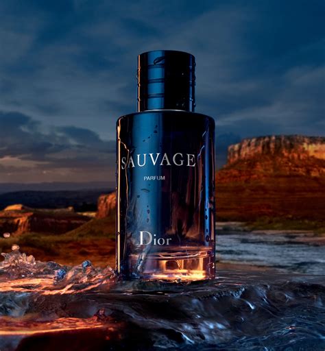 dior souvag|dior sauvage website.